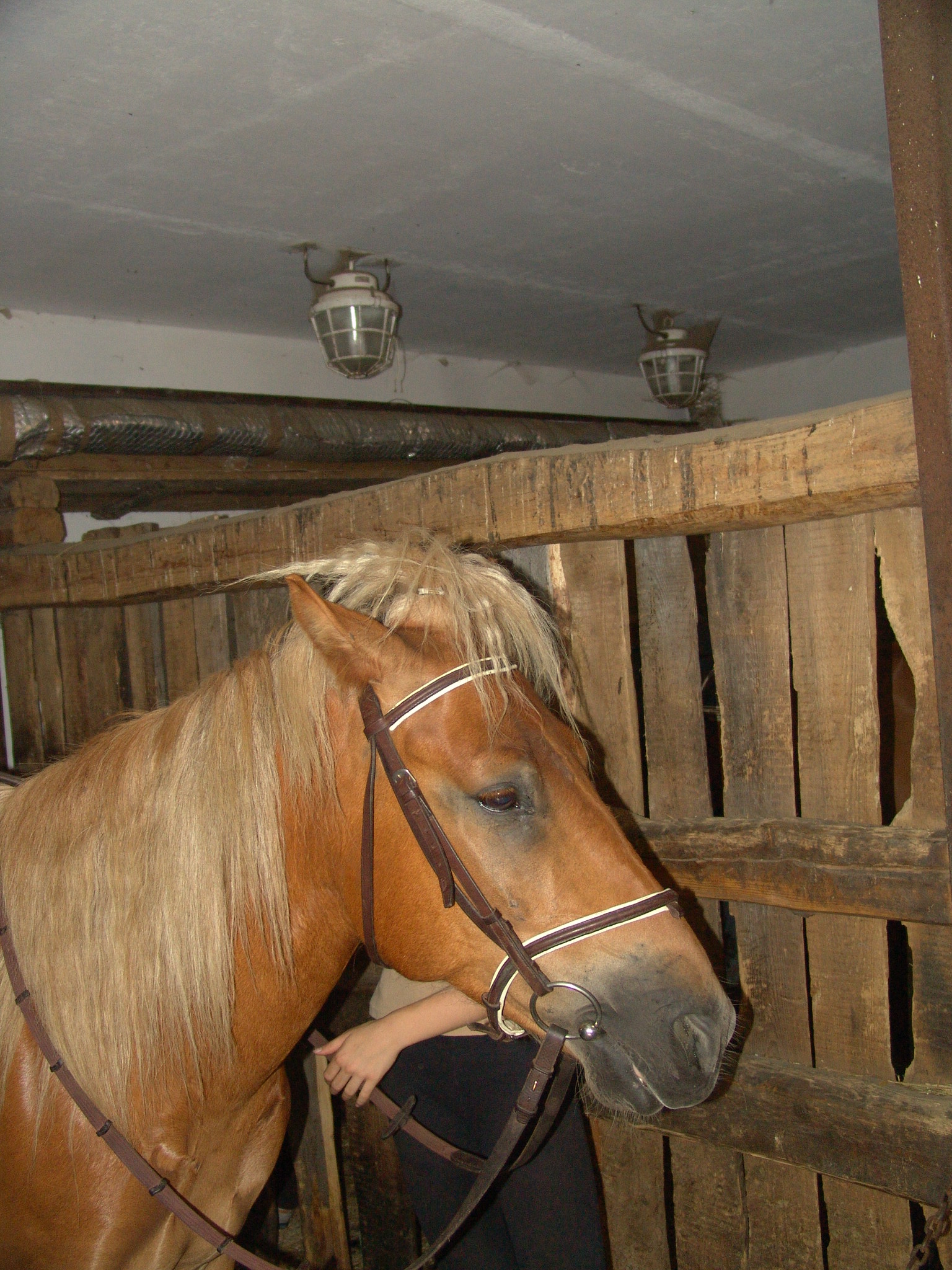 DSC08034.JPG