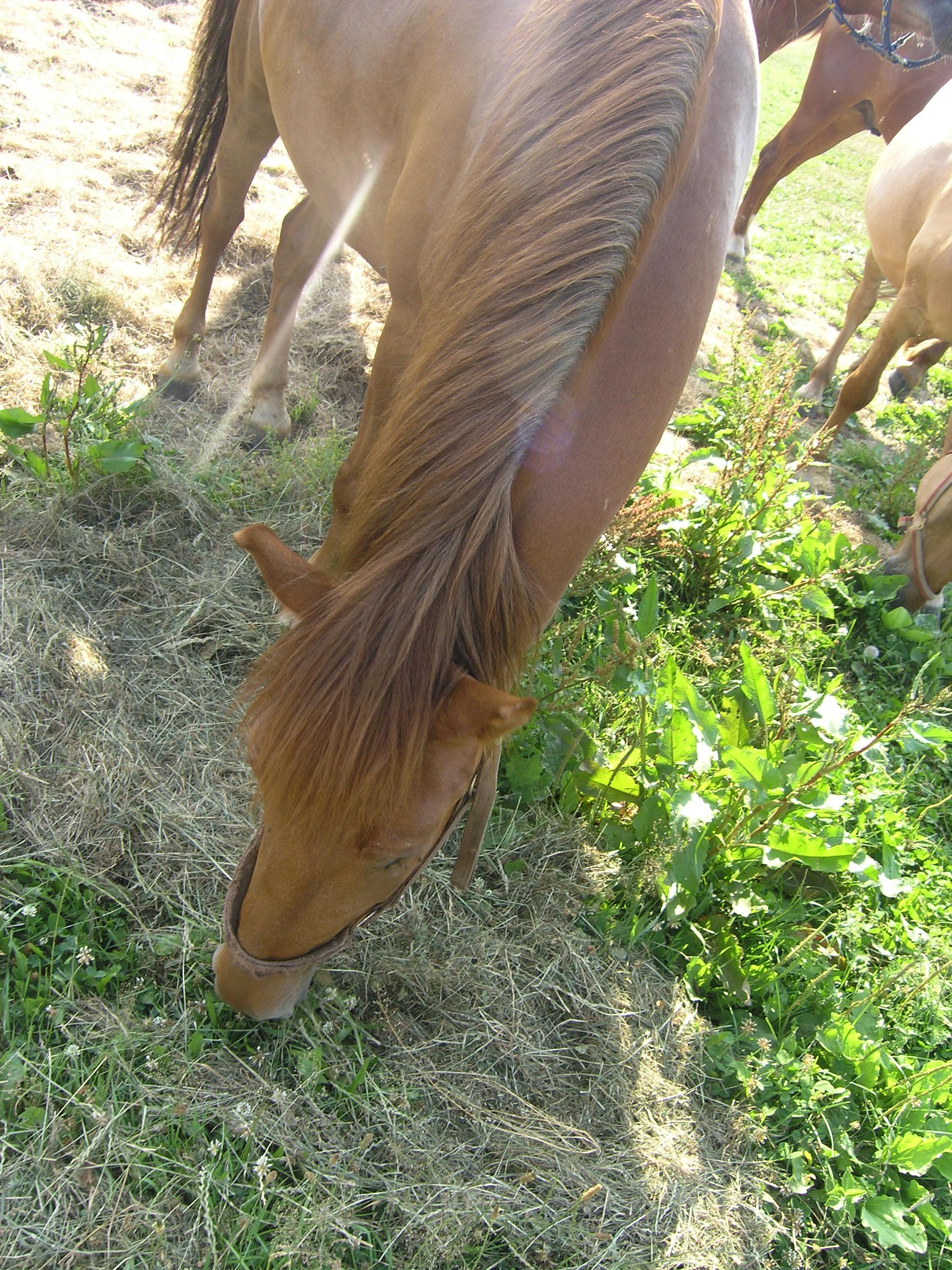 P7100051.JPG